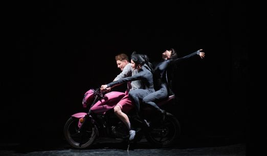 Návštěva staré dámy