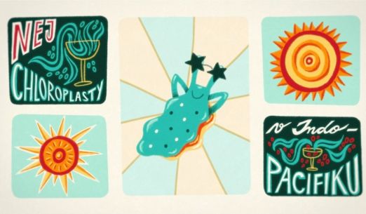 Biošortky - Regenerační tríčky