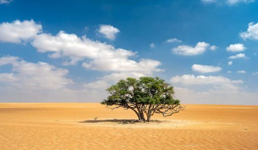 Omán: sultánovo arabské Švýcarsko