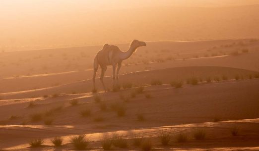 Omán: sultánovo arabské Švýcarsko