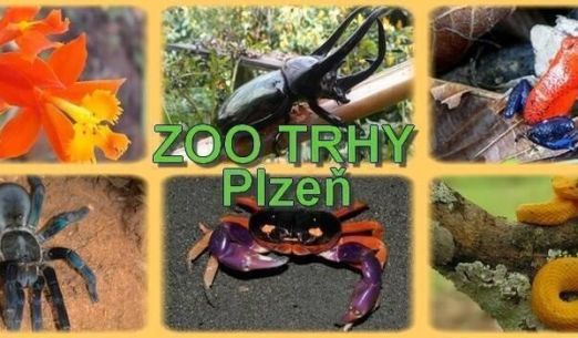 Zoo trhy Plzeň