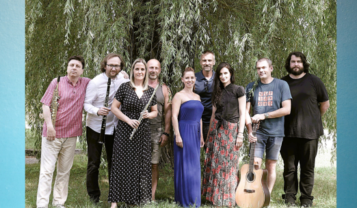 MARTIN STRÁNSKÝ A PAMĚTI VRBY - PÍSNĚ A BALADY DALIBORA A VÁCLAVA BÁRTOVÝCH