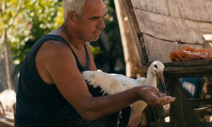 Příběh o Siljanovi