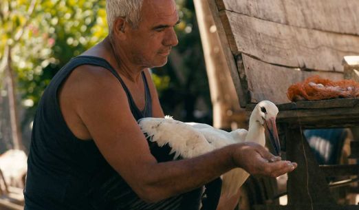 Příběh o Siljanovi