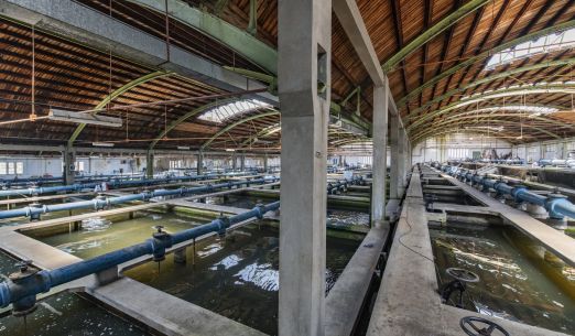 DOD Vodárny - prohlídky úpravny vody na Homolce