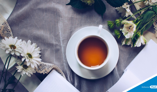 Můj šálek čaje (11)