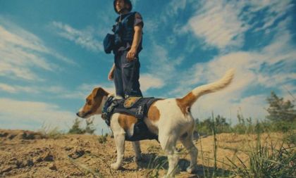 My, naši mazlíčci a válka