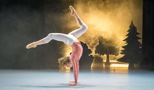 Princezna se zlatou hvězdou