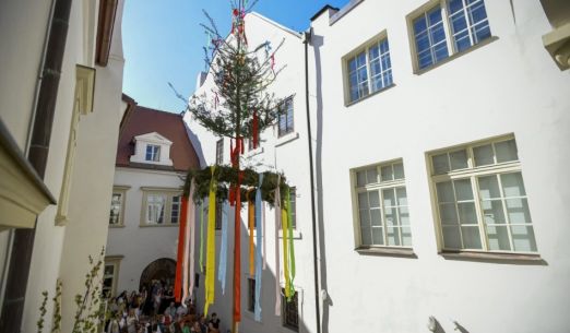 Stavění máje v Národopisném muzeu Plzeňska