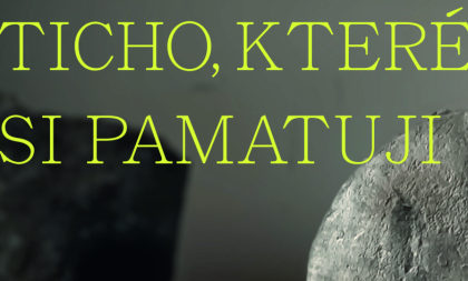 Luděk Míšek/Ticho, které si pamatuji