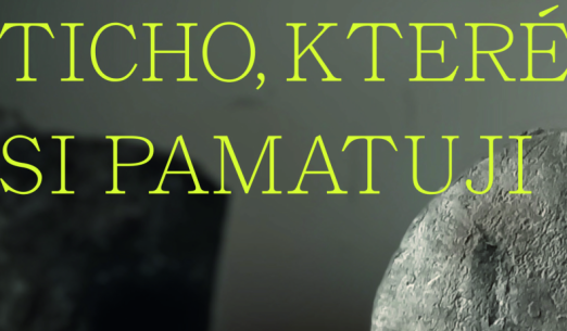 Luděk Míšek/Ticho, které si pamatuji