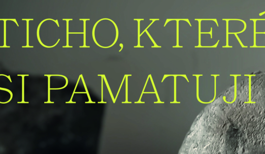 Luděk Míšek/Ticho, které si pamatuji