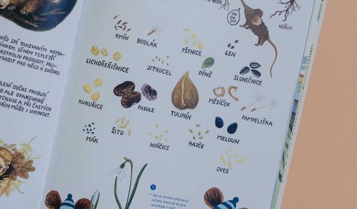 Hravocesta: Kreativní dílna s Terezou Vostradovskou