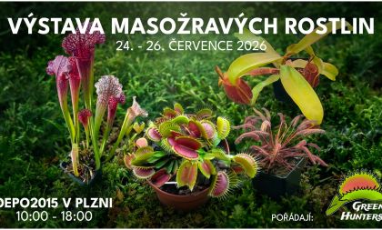 Výstava masožravých rostlin v Plzni