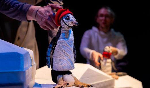 TUČNIAK S ČERVENOU ČIAPOČKOU (6+)