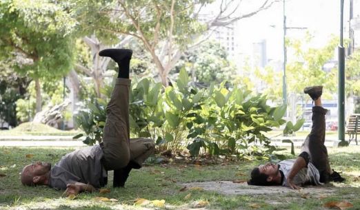 Tanec Praha 2026: O čem stromy nemluví