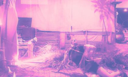 t.r.a.n.s.i.t.s.c.a.p.e: To Cohabit, We Must Mutate