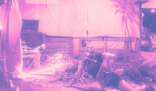 t.r.a.n.s.i.t.s.c.a.p.e: To Cohabit, We Must Mutate