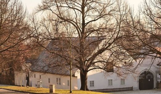 Speciální komentovaná prohlídka Bolevecké návsi