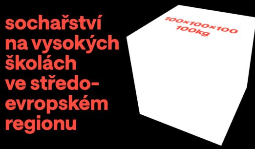 100 × 100 × 100 × 100 /  Sochařství na vysokých školách ve středoevropském regionu