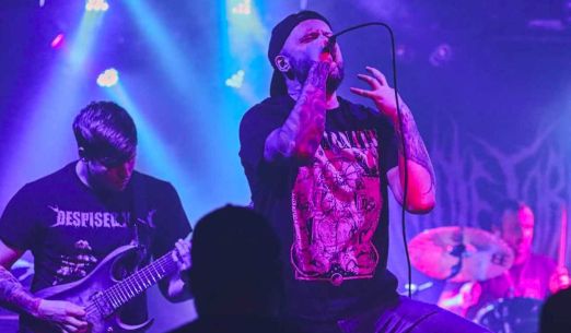 Devine Defilement + Anime Torment + Sumatra Blunt