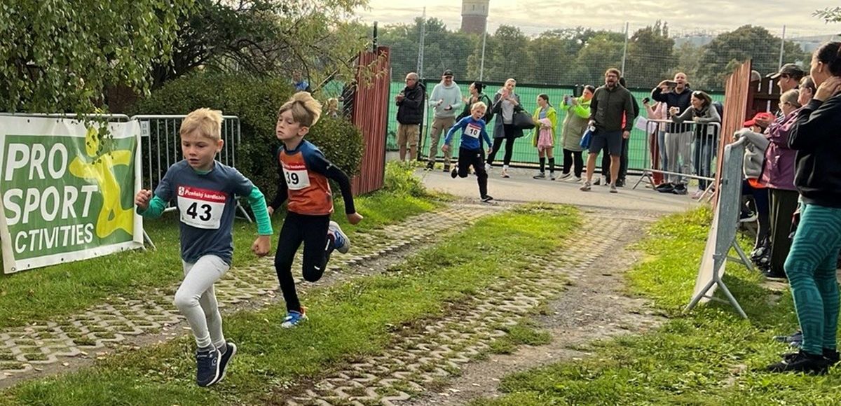 Plzeňský kardioběh