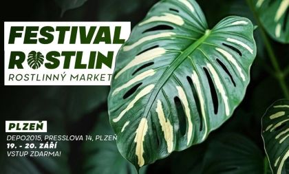 Festival rostlin