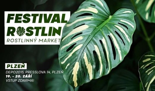 Festival rostlin