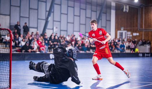 FBŠ SLAVIA Fat Pipe Plzeň vs. ASK Orka Stará Boleslav -       1. liga mužů