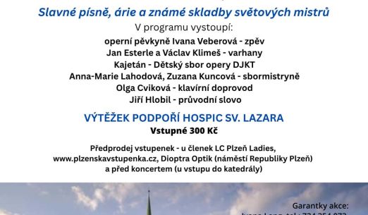 8. varhanní charitativní koncert