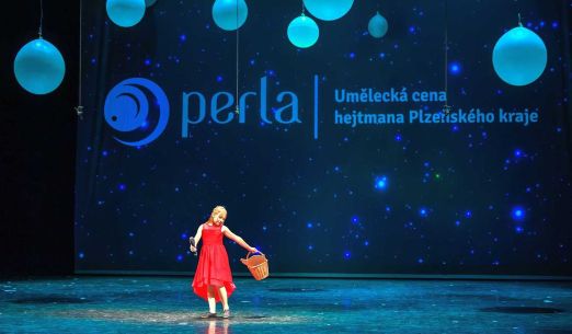 Perla Plzeňského kraje, umělecká cena hejtmana