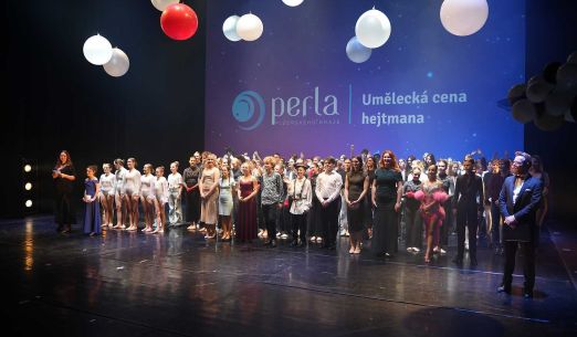 Perla Plzeňského kraje, umělecká cena hejtmana