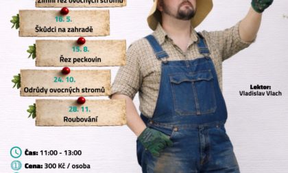 Druhy ovocných stromů vhodné pro pěstování v našich klimatických podmínkách