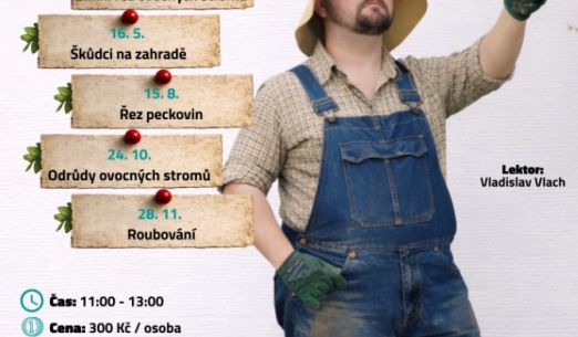 Druhy ovocných stromů vhodné pro pěstování v našich klimatických podmínkách