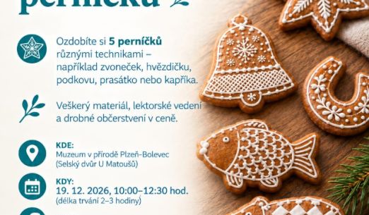 Vánoční zdobení perníčků (workshop)