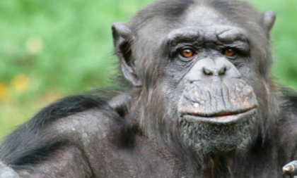 Zoo Plzeň: docela jiný svět