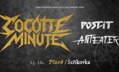 Cocotte Minute, Post-it, Anteater