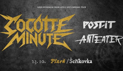 Cocotte Minute, Post-it, Anteater