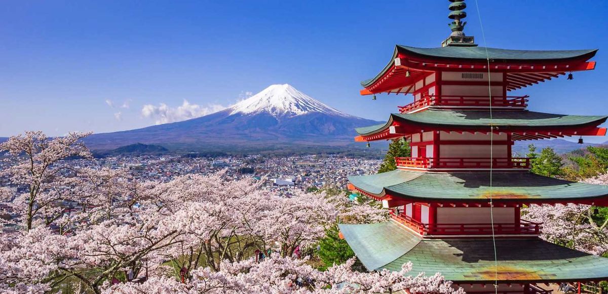 Do Japonska nejen za sakurami