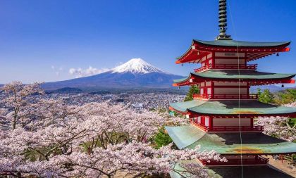 Do Japonska nejen za sakurami