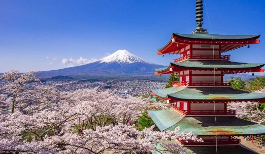 Do Japonska nejen za sakurami