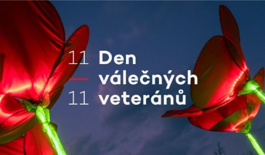 Vzpomínkové vlčí máky – obří světelná instalace v Plzni
