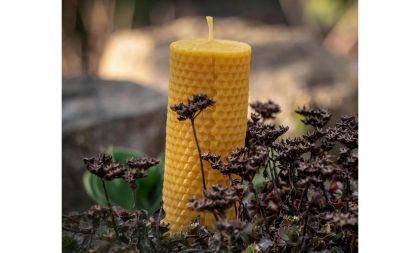 Adventní dílna, svíčky z včelího vosku